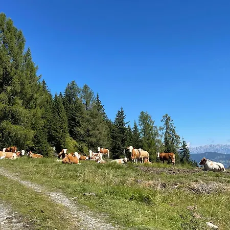 Rum i privatbostad Gaestezimmer Peterbauer