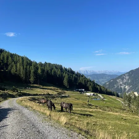 Gaestezimmer Peterbauer * Dorfgastein