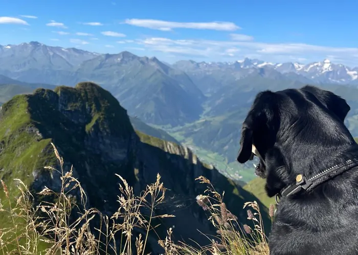 Rum i privatbostad Gaestezimmer Peterbauer *
