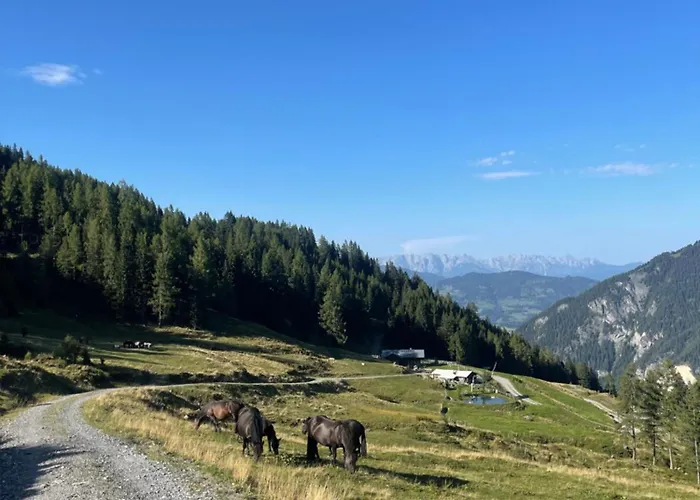 Gaestezimmer Peterbauer * Dorfgastein